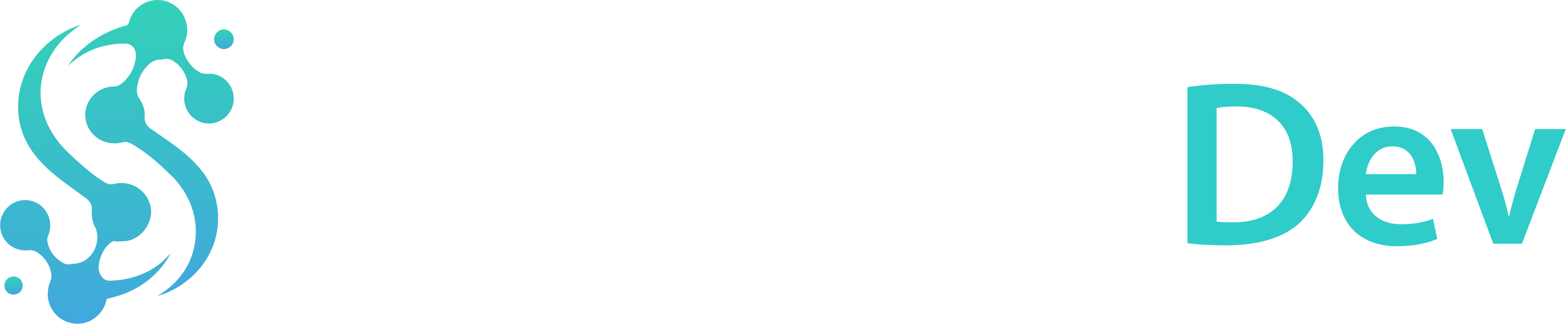 SynapsisDev